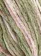 Valdani 6 ply M63 6-Ply Floss - SHADED & Solids  (M63 - Early Spring)
